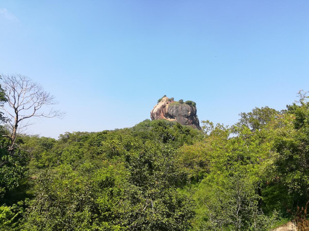 Oshani Homestay Szigirija Kültér fotó